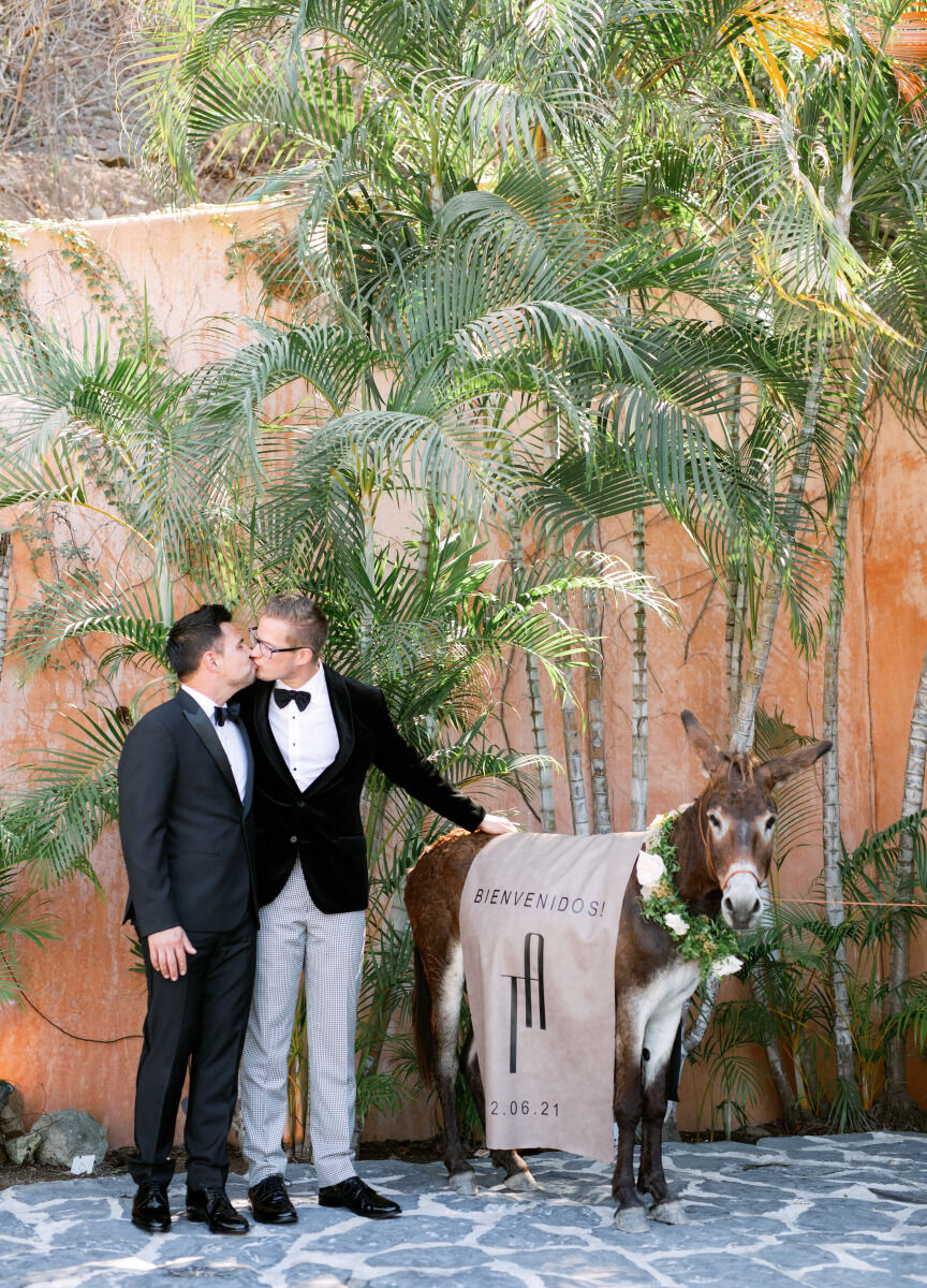 Wedding couple kissing while petting their wedding burrow.