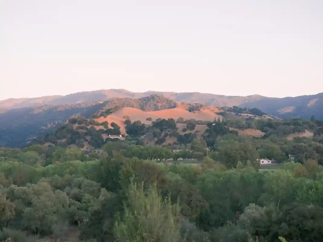 A Vineyard Wedding for Alexis and Austin