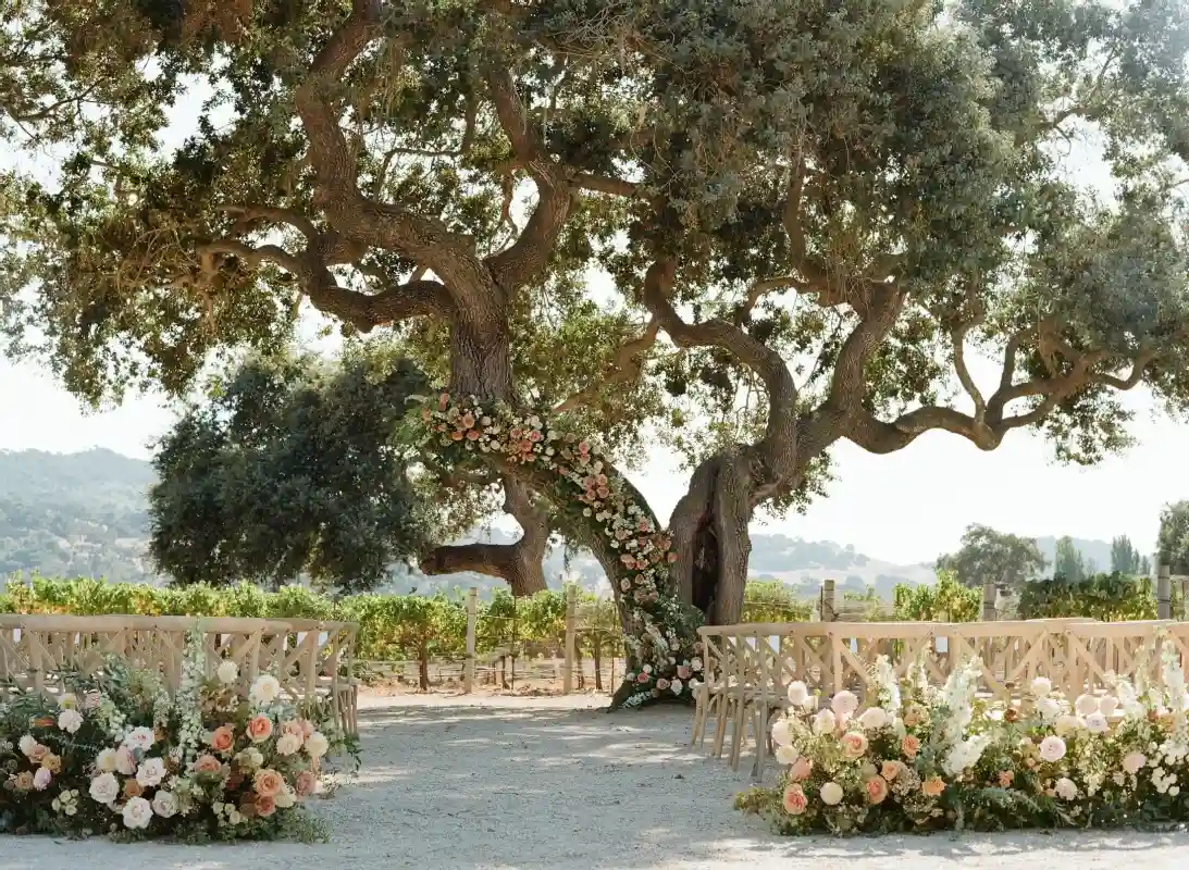A Vineyard Wedding for Alexis and Austin