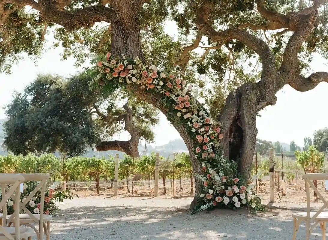 A Vineyard Wedding for Alexis and Austin