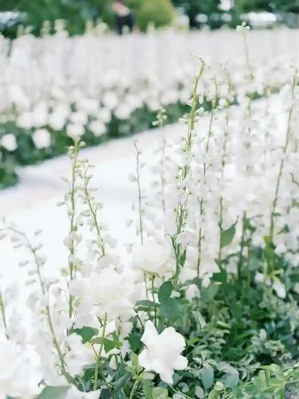 A Classic Wedding for Bridget and Max