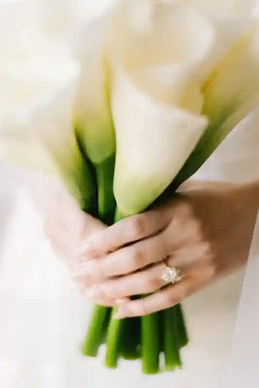 A Formal Wedding for Carly and Brian