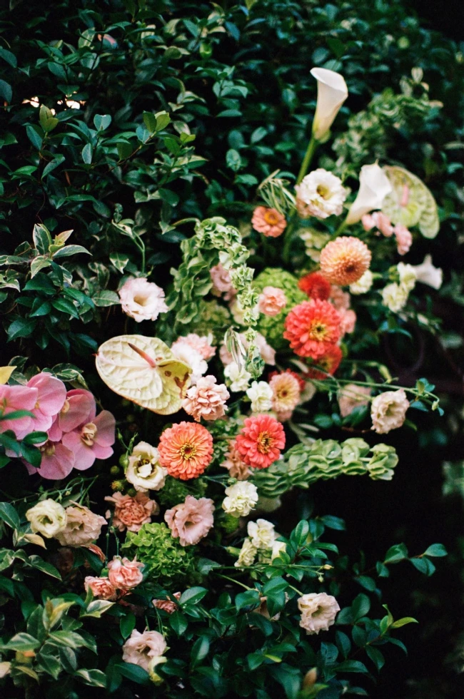 Colette Elyse Photography
