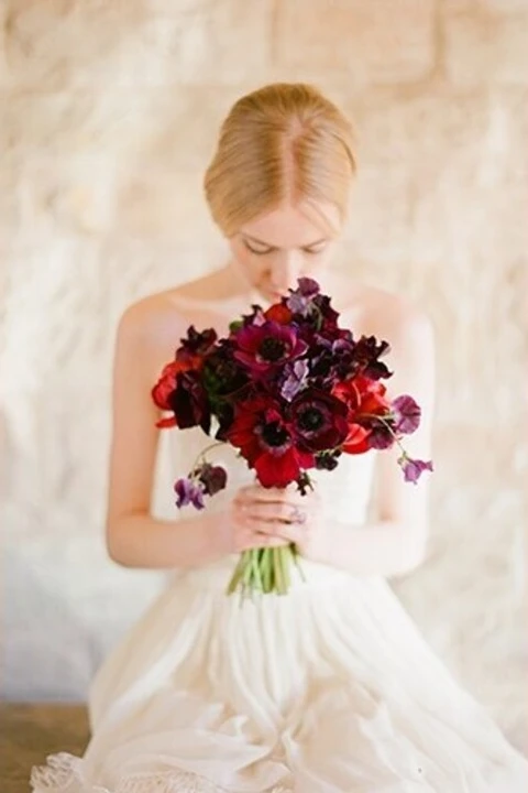 MICHAEL and ANNA COSTA PHOTOGRAPHY