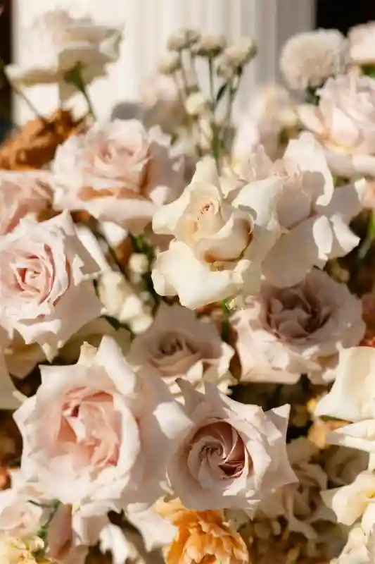 An Outdoor Wedding for Dimitris and Natalia
