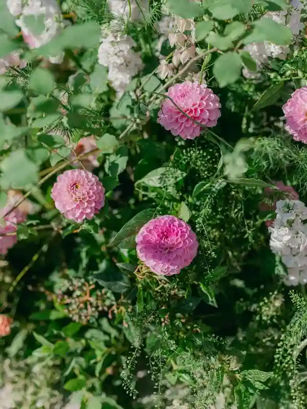A Garden Wedding for Erin and Ray