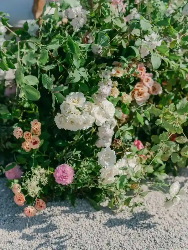 A Garden Wedding for Erin and Ray