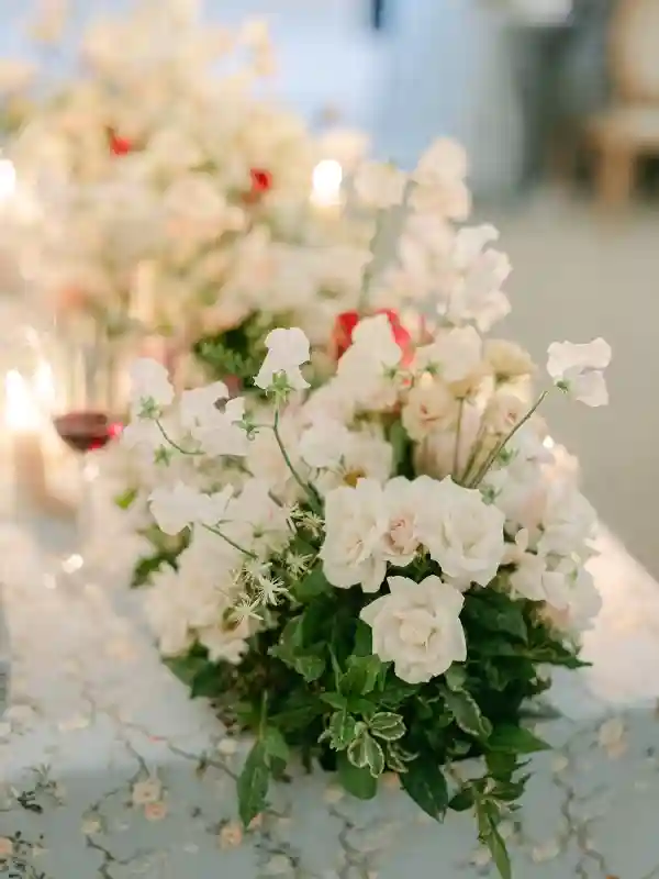 A Garden Wedding for Erin and Ray