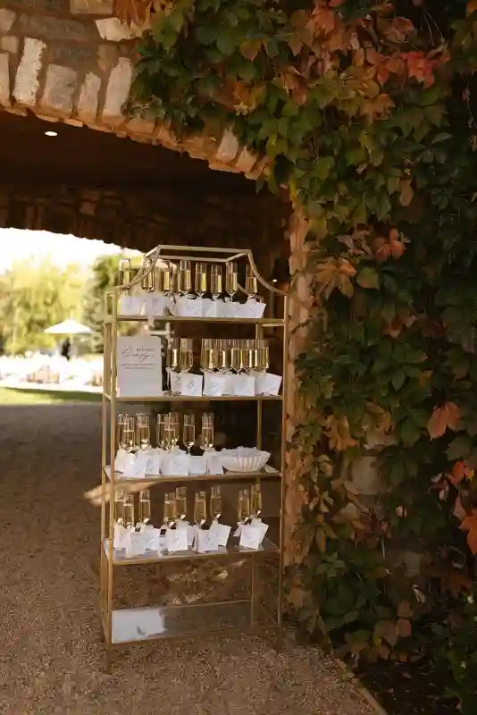 An Intimate Wedding for Julianne and Tyler