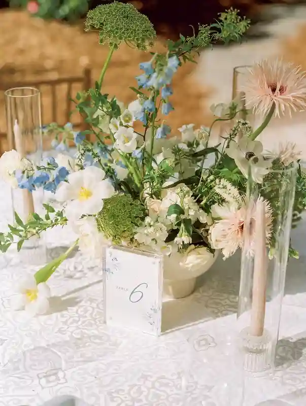 A Garden Wedding for Melissa and Jess