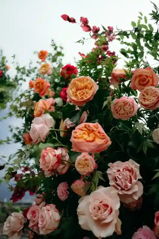 A Colorful Wedding for Thalia and Nicolò