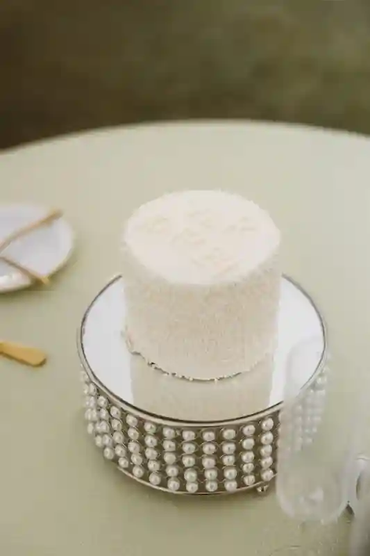 A Classic Wedding for Vanessa and Ryan